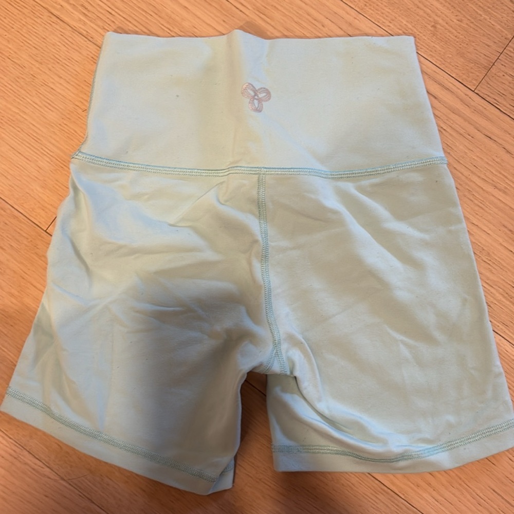 Aritzia blue shorts
